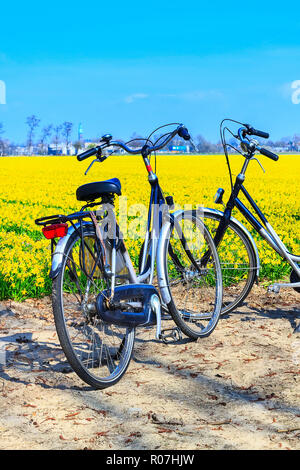 Ciclismo attiva i viaggi di vacanza sfondo con due biciclette vicino a giallo daffodil campo fiore in Olanda Foto Stock