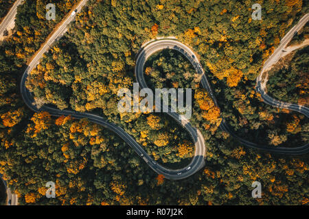 Tortuosa strada attraverso una foresta in ther medio di autunno Foto Stock