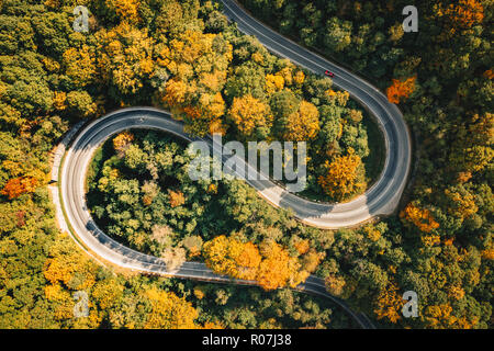 Curvati estremi tortuosa strada nella foresta fotografia aerea Foto Stock