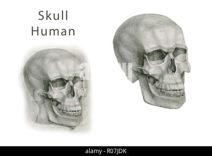 Raccolta di disegnati a mano teschi in monocromatico. Teschi di figure geometriche. Su sfondo bianco Foto Stock