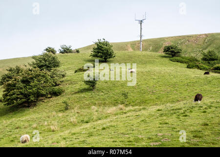 Autoportante montante di telecomunicazioni in campagna, vale di Edale, Derbyshire, England, Regno Unito Foto Stock