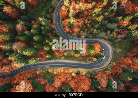 Vetture su strada attraverso un fitto bosco in autunno in montagna sulla strada circondata da una foresta in autunno. Carpazi, Romania Foto Stock