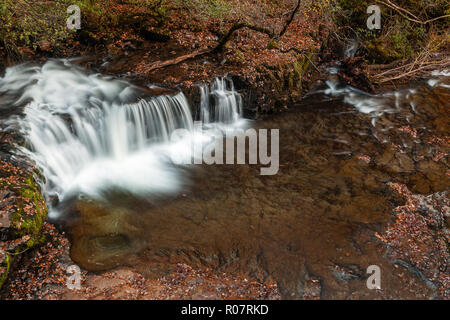 Una delle cascate di Sgwd Ddwli Isaf visto dal di sopra, Brecon Beacons, Novembre 2018 Foto Stock