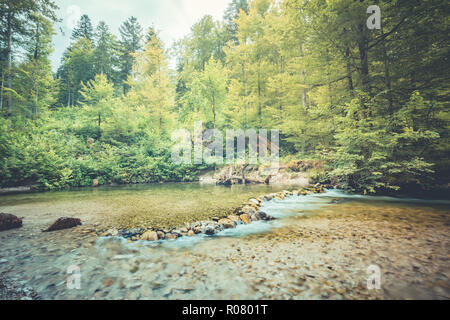 Idilliaca foresta con calma fiume su una soleggiata giornata estiva con rocce. Scena di foresta, acqua calma e la luce del sole Foto Stock