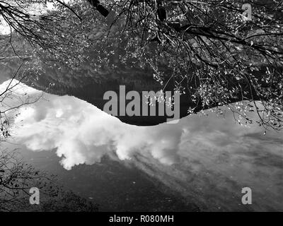 La riflessione di Carling Knott in Loweswater incorniciato da rami retroilluminato e foglie, Parco Nazionale del Distretto dei Laghi, Cumbria, England, Regno Unito Foto Stock