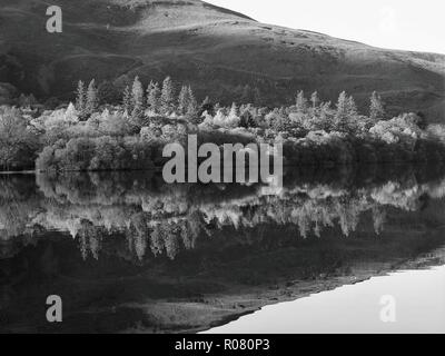 Holme legno e la collina alle spalle di riflesso in Loweswater, Parco Nazionale del Distretto dei Laghi, Cumbria, Regno Unito Foto Stock