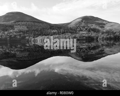 Holme Legno e colline sopra riflessa nella ancora Loweswater, Parco Nazionale del Distretto dei Laghi, Cumbria, England, Regno Unito Foto Stock