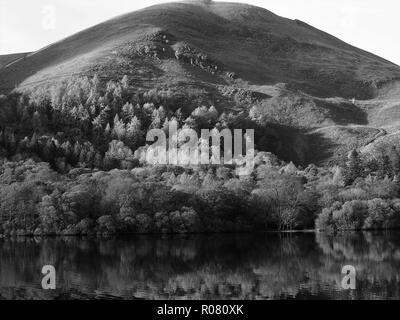 Holme legno riflette in Loweswater, Parco Nazionale del Distretto dei Laghi, Cumbria, England, Regno Unito Foto Stock