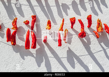 Peperoni rossi impiccati contro il muro bianco Foto Stock