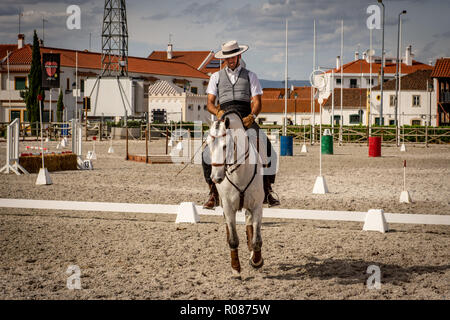 Cavallo lusitano in Golega, Portogallo Foto Stock