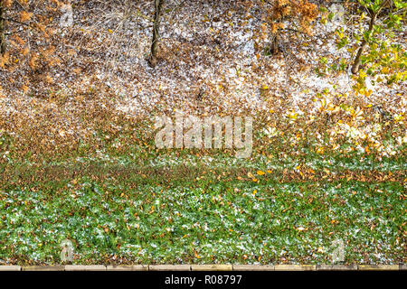 Vista aerea della prima neve e caduto foglie gialle coprono l'erba verde a prato in città giardino Foto Stock