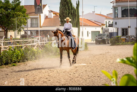 Cavallo lusitano in Golega, Portogallo Foto Stock