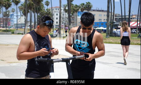 Due giovani, muscolare uomini asiatici utilizzare il telefono mobile app per sbloccare e affitto dockless uccello elettrico scooter sulla spiaggia di Venezia percorso per biciclette Foto Stock