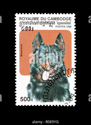 Annullato francobollo stampato dalla Cambogia, che mostra Beauceron cane, circa 1998. Foto Stock