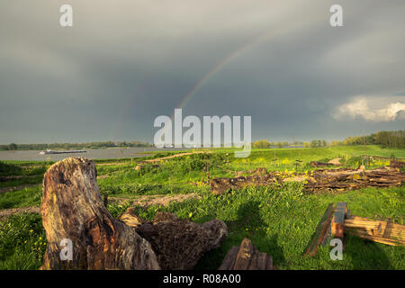 Rainbow oltre il fiume Reno, Paesi Bassi Foto Stock