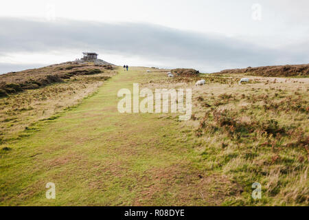 Sentiero costiero da Rhoscolyn fino a la Guardia Costiera Lookout, Anglesey, Galles del Nord, Regno Unito Foto Stock