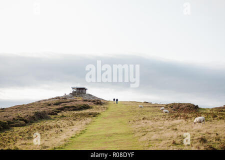 Sentiero costiero da Rhoscolyn fino a la Guardia Costiera Lookout, Anglesey, Galles del Nord, Regno Unito Foto Stock