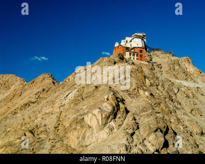 Namgyal Tsemo Gompa, affacciato su Leh, capitale del primo regno di Ladakh Foto Stock