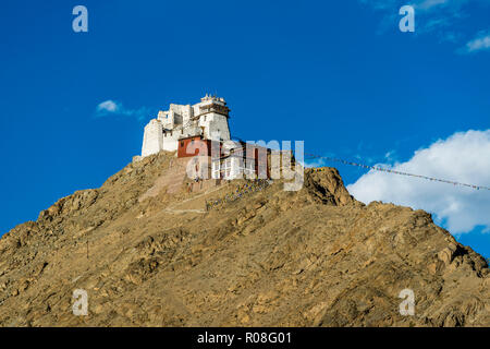 Namgyal Tsemo Gompa, fondata 1430 dal Re Tashi Namgyal, ha tre piani idolo d'oro del Buddha Maitreya e si trova su una collina sopra Leh, il c Foto Stock