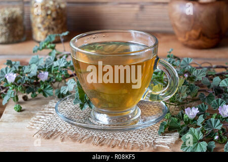 Una tazza di tè con un fresco e fioritura dwarf mallow Foto Stock