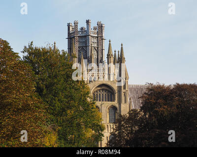 Cattedrale di Ely (ex chiesa di St Etheldreda e di San Pietro e la chiesa della Santa e indivisa Trinità) in Ely, Regno Unito Foto Stock