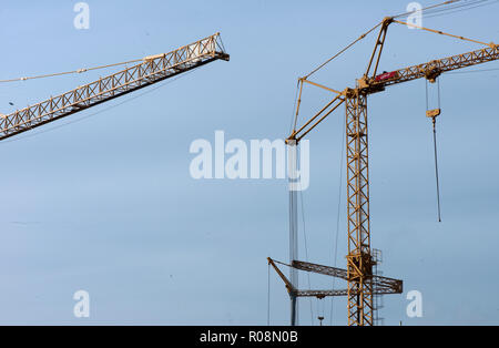 La deforestazione, gioco,cancellazione, distacco,forest, alberi, terra forestland,Fattorie, ranch, urban, foreste, Foto Stock