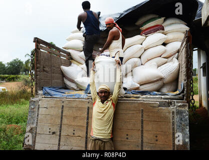 Scaricare grossi sacchi di miglio in un mulino di miglio e di fabbrica in Karnataka, India. Foto Stock