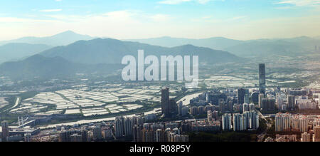 Una vista di hong kong di risaie sul confine di Shenzhen. Foto Stock