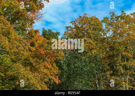 Lago Crescent - Southington, Connecticut (3) Foto Stock