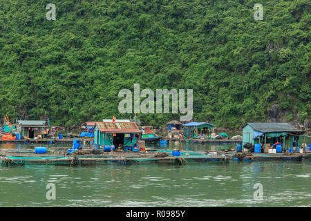 Flottante fattoria di pesce nella baia di Ha Long vietnam Foto Stock