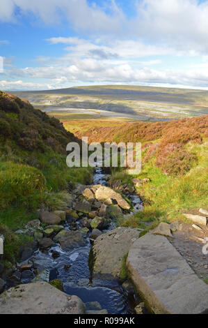 Viste dal sentiero fino al vertice Ingleborough Foto Stock