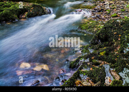 Acqua sfocata esposizione lento fiume che scorre in guscio boschi Bodmin Moor Cornovaglia Foto Stock