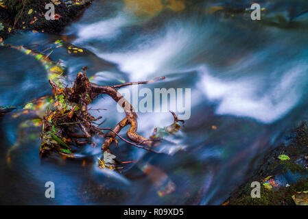 Acqua sfocata esposizione lento fiume che scorre in guscio boschi Bodmin Moor Cornovaglia Foto Stock