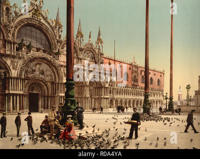 Piccioni in Piazza San Marco, Venezia, Italia, Photochrome Stampa, Detroit Publishing Company, 1900 Foto Stock