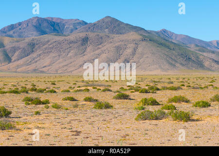 Paesaggio del deserto di Atacama, Cile settentrionale Foto Stock