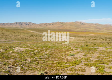 Paesaggio del deserto di Atacama, Cile settentrionale Foto Stock