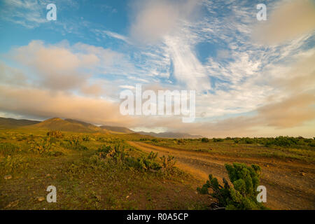 Paesaggio del deserto di Atacama, Cile settentrionale Foto Stock