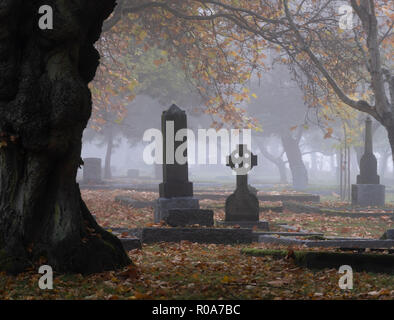 Grave marker nella baia di Ross cimitero in una nebbiosa mattina autunnale in Victoria, British Columbia, Canada. Foto Stock