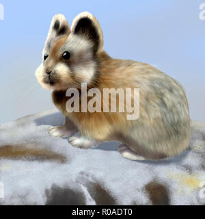 Illustrazione Digitale di un Ochotona iliensis, ili pika Foto Stock