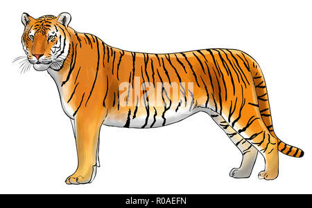 Illustrazione Digitale di una tigre, inchiostrato Foto Stock
