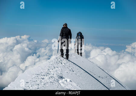 Gli alpinisti sulla Aiguille de Bionnassay summit - estremamente stretta cresta di neve sopra le nuvole, il massiccio del Monte Bianco, Francia Foto Stock