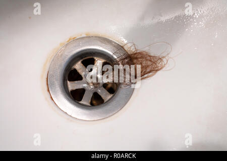 Capelli persi nel foro di scarico Foto Stock