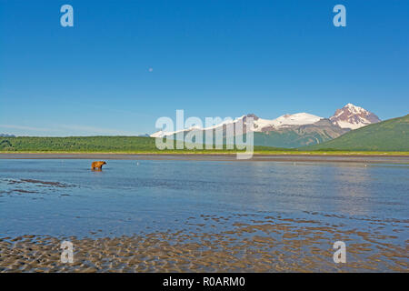 Sostenere nell'Alaskan Wilderness nel Hallo Bay di Katmai National Park in Alaska Foto Stock