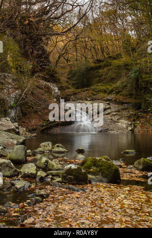 Cascata sul fiume Prysor, Coed Felinrhyd, Wales, Regno Unito Foto Stock