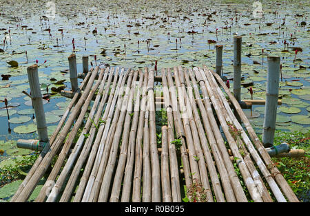 Rustico Bamboo Dock sul laghetto di loto nella parte centrale della Thailandia Foto Stock