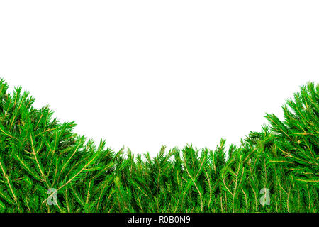 Ampio Bordo di Natale disposti con fresco rami d abete isolato su bianco a forma di un arco Foto Stock