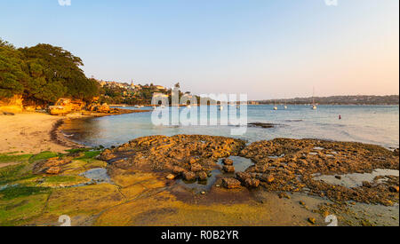 Eremita Bay nel Sydney Harbour National Park con la bassa marea. Sydney, Nuovo Galles del Sud. Foto Stock