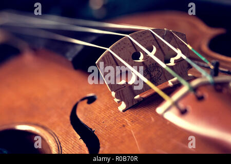 Primo piano del ponte di violino, bottom up visualizzare Foto Stock