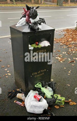 Traboccante di cane e rifiuti cucciolata bin, York, Regno Unito. Foto Stock