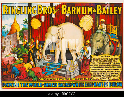 Il Ringling Bros e Barnum & Bailey, Pawah il World-Famed sacro elefante bianco della Birmania, poster di circo, litografia, 1927 Foto Stock